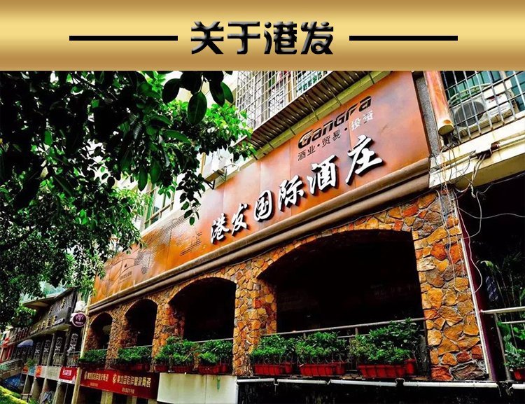 智利美洲虎家族精选特酿珍藏赤霞珠干红原瓶进口红酒_5b2a0d82.jpg